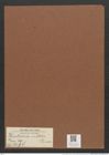 Denticula subtilis Grun. (de-Toni-Nr.: Genus 49, Species 2198) Zeichnungen Sammlung Grunow Mappe 02411 (Herbarium_W_Grunow_drawings_Folder_02411)